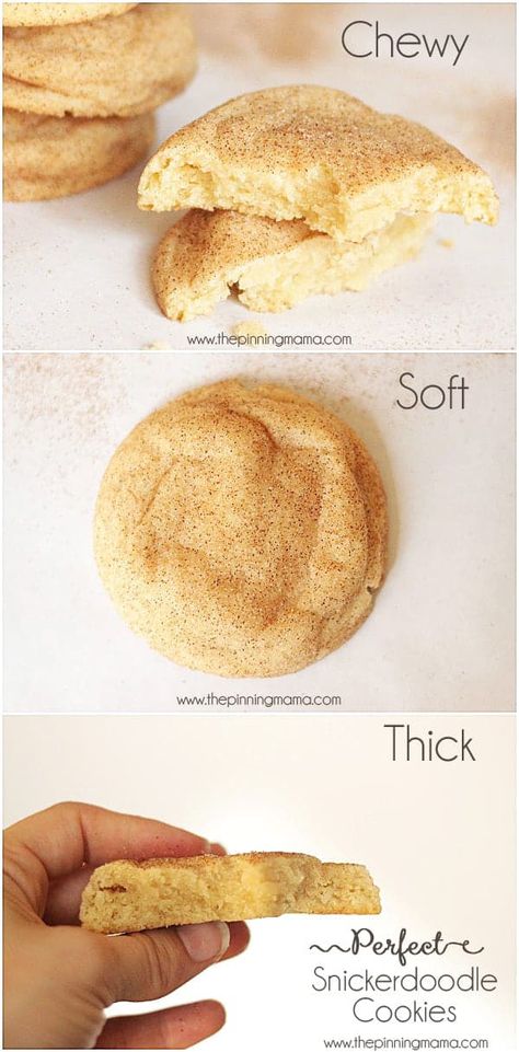 Snickerdoodle Cookies Recipe Easy, Gluten Free Snickerdoodle Cookies, Soft Snickerdoodle Cookies, Snickerdoodle Cookies Easy, Cookie Recipes Chewy, Cookie Recipes Homemade, Snickerdoodle Cookies, Cookie Videos, Snickerdoodle Cookie Recipes