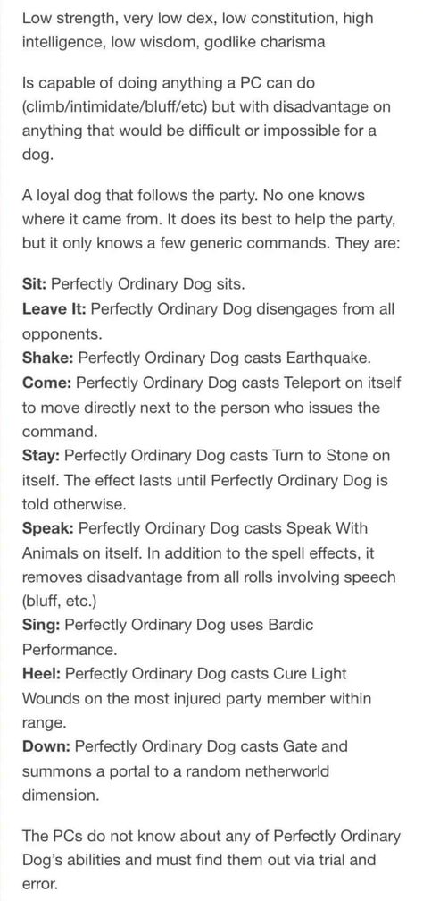 Dnd Dog, Dnd Diy, D D Funny, Dnd Stories, Vampire Masquerade, Dungeon Master's Guide, Dnd Funny, Dnd 5e Homebrew, Dnd Dragons