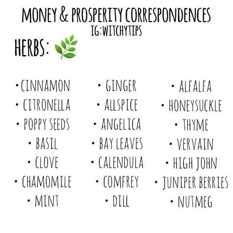 Tips for Witches Everywhere! ✨ on Instagram: “💰💚 MONEY & PROSPERITY CORRESPONDENCES! 💚💰 Use this list and incorporate it into making money-drawing oils, charm bags, jars, candle…” Money Prosperity, Make Money On Instagram, Prosperity Spell, Magickal Herbs, Instagram Money, Witch Herbs, Green Witchcraft, Wiccan Magic, Magic Herbs