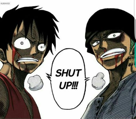 Shut up!!!, text, Luffy, Zoro, angry; One Piece Cp9 One Piece, Luffy And Zoro, Tekken Wallpaper, Noxus League Of Legends, Hiro Big Hero 6, One Piece Funny, Zoro One Piece, One Peice Anime, One Piece Drawing