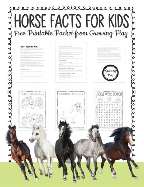 4h Horse Poster Ideas, Horse Activities, Horse Games For Kids, Parts Of A Horse Printable, Horse Camp Activities, Horse Worksheets Free Printable, Fun Horse Riding Lesson Ideas, Horse Unit For Kindergarten, Horse Lesson Plans