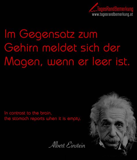 Im Gegensatz zum Gehirn meldet sich der Magen wenn er leer ist. #QuoteOfTheDay #ZitatDesTages #TagesRandBemerkung #TRB #Zitate #Quotes Empty Quotes, Nature Quotes Adventure, Travel Quotes Wanderlust, Historical Quotes, Quotes By Genres, Einstein Quotes, Single Mom Quotes, Adventure Quotes, Catch Phrase