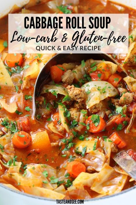 Cabbage Roll Recipe, Low Carb Soup Recipes, Low Calorie Soup, Cabbage Roll Soup, Cabbage Roll, Soup Appetizers, Cabbage Rolls Recipe, Low Carb Low Fat Recipes, Boiled Egg Diet Plan