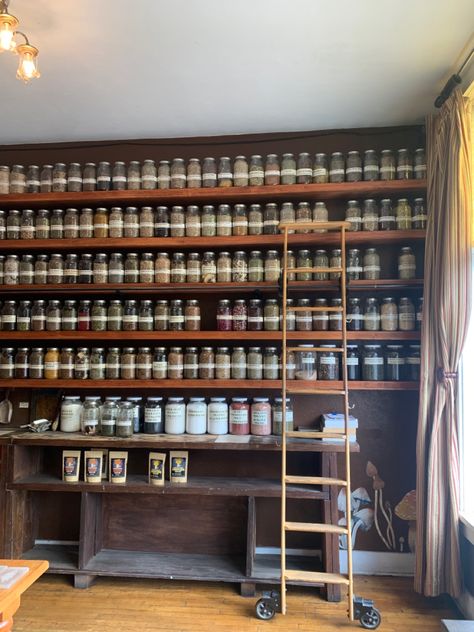 Tonics~Tinctures~Salves~Elixirs & Remedies Witchy Apothecary Aesthetic, She Shed Apothecary, Herb Station, Apothecary Room Ideas, Cute Apothecary, Herbal Clinic, At Home Apothecary, Herbal Apothecary Storage, Apothecary Shop