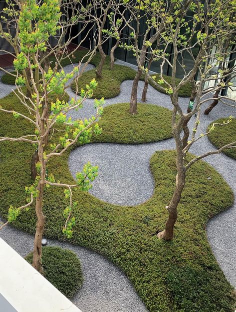 Ribbon Dance, Pocket Garden, Japan Garden, Park Landscape, Landscape Architecture Design, Garden Architecture, Have Inspiration, Garden Landscape Design, Parking Design