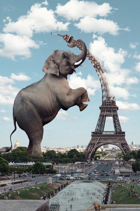 Elephant Eiffel Tower, #Elephant, #Tower, #Eiffel Elephant Photography, Elephant Wallpaper, Elephants Photos, Elephant Drawing, Paris Poster, Elephant Art, Photos Hd, Wow Art, An Elephant