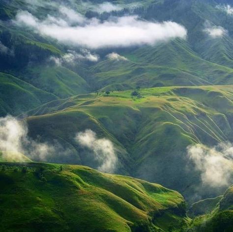 📌Panimahawa Ridge, Bukidnon, Philippines🇵🇭  📸Athan Codilla Best to hang out and camping with the squAd Bukidnon Philippines, Northern Mindanao, Notion Aesthetic, Rift Valley, Nice Things, Nature Pictures, Philippines, Camping, Natural Landmarks