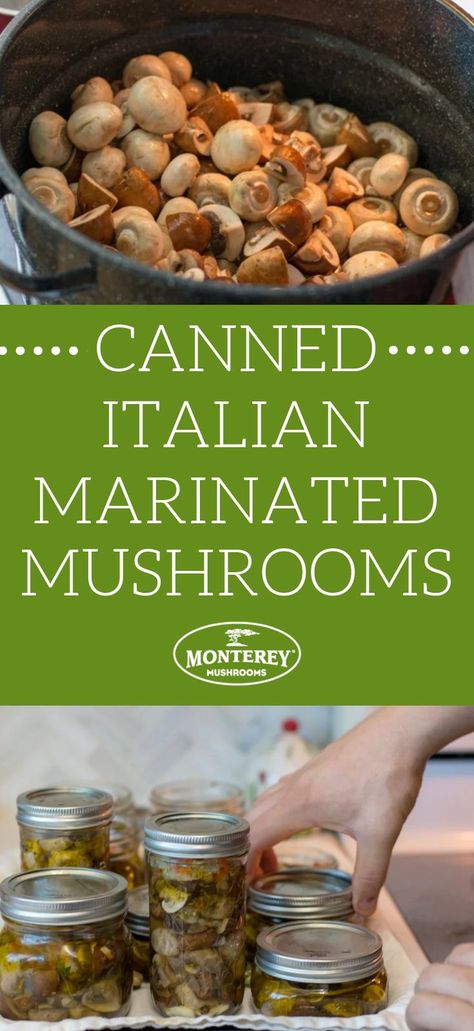 Canning Pickled Mushrooms, Canned Marinated Mushrooms Recipe, Pickled Mushrooms Recipe Canning, Canning Recipes Sauces, Canned Marinated Mushrooms, Canning Water Bath Recipes, Canning Marinated Mushrooms, Italian Marinated Mushrooms, Canning Mushrooms Recipes