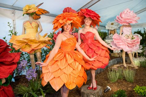 Flower Costume Diy, Sunflower Costume, Costume Fleur, Nature Costume, Fairy Collection, Alice In Wonderland Flowers, Diy Wings, Flower Costume, Wonderland Costumes