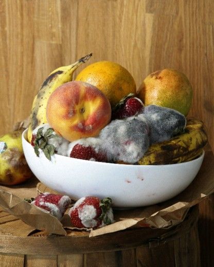 Roe Ethridge, Fruit Presentation, Decay Art, Fruit Bowl Display, Rotten Fruit, Growth And Decay, Still Life Artists, Fruit Photography, New Fruit