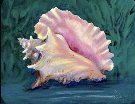 Seashell Drawings, Shell Paintings, Seashell Drawing, Pastel Skull, Shell Drawing, Ocean Art Painting, Seashell Tattoos, Ocean Paintings, Shell Painting