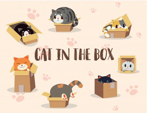 Cat In A Box Drawing, Vampire Cat, Top Cat, Cat Cuddle, Cat Pose, Cat Box, Motion Design Animation, Cat Books, Cat Top