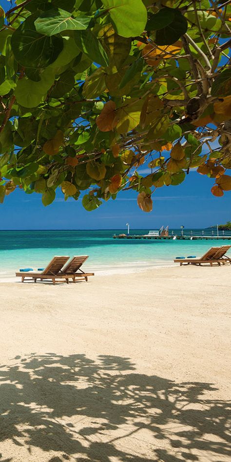 Beaches Ocho Rios is home to a gorgeous private white-sand beach with endless aquatic adventures. 🌤🌴🌊 -------------- #jamaica #resort #vacation #tropics #tropical #beach #beachfront Cheap Vacations, Jamaica Beaches, Cheap Vacation, Ocho Rios, Tropical Resort, Lovely Places, Resort Vacation, Travel Pins, Beach Paradise