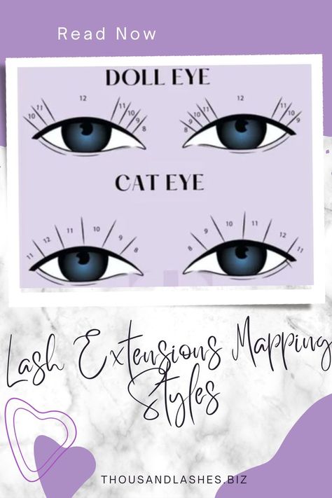 Lash Mapping For Round Eyes, Hybrid Cat Eye Mapping, Doll Eye Vs Cat Eye Extensions, Lash Map For Downturned Eyes, Lash Extensions For Downturned Eyes, Doll Eye Hybrid Lash Extensions, Cat Eye Hybrid Lash Extensions, Hybrid Cat Eye Lash Extensions, Doll Eye Lash