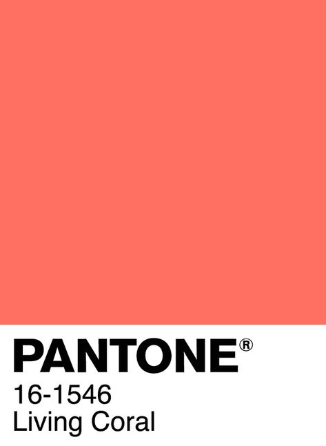 Coral Pantone, Colour Swatches, Fish Home, Live Coral, Living Coral, Color Analysis, Color Inspo, Colour Board, Color Of The Year