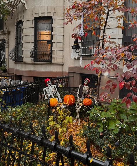 Fall In New York City, Brooklyn Apartments, Halloween In New York, Nyc Autumn, Fall Aesthetic Pictures, Fall In New York, Hygge Autumn, New England Aesthetic, Fall Instagram