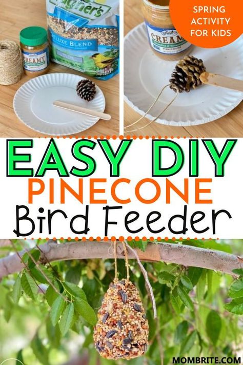 Pinecones Bird Feeder, Birdseed Crafts For Kids, Pinecone Activities Preschool, Bird Feeder Craft Preschool, Pinecone Activities For Toddlers, Birdfeeders Kids Can Make, Pine Cone Bird Feeders For Kids To Make, Egg Carton Bird Feeder, Pinecone Bird Feeder Kids