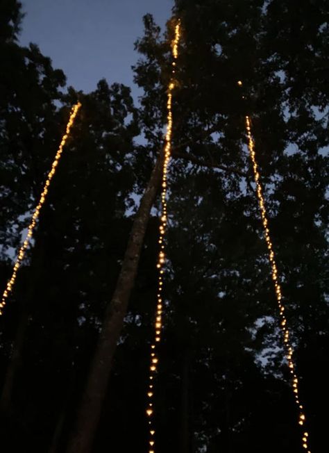 Cascading Christmas Lights, Christmas Lights Outdoor Trees, Long Hanging Lights, Hanging Tree Lights, Outdoor Tree Lighting, Xmas Tree Lights, Cascade Lights, Tall Christmas Trees, Hanging String Lights