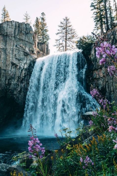 Waterfall Reference, Waterfall Diorama, Devils Postpile National Monument, Cat Adventure, Rainbow Waterfall, Waterfall Pictures, Flowers Romantic, Waterfall Photo, Waterfall Paintings