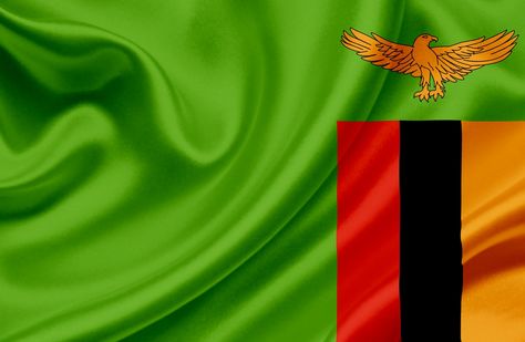 Waiving Zambia Flag Zambian Flag, Zambia Flag, Travel Needs, Africa Flag, African Flag, Business Visa, Travel Visa, We Are The World, Southern Africa