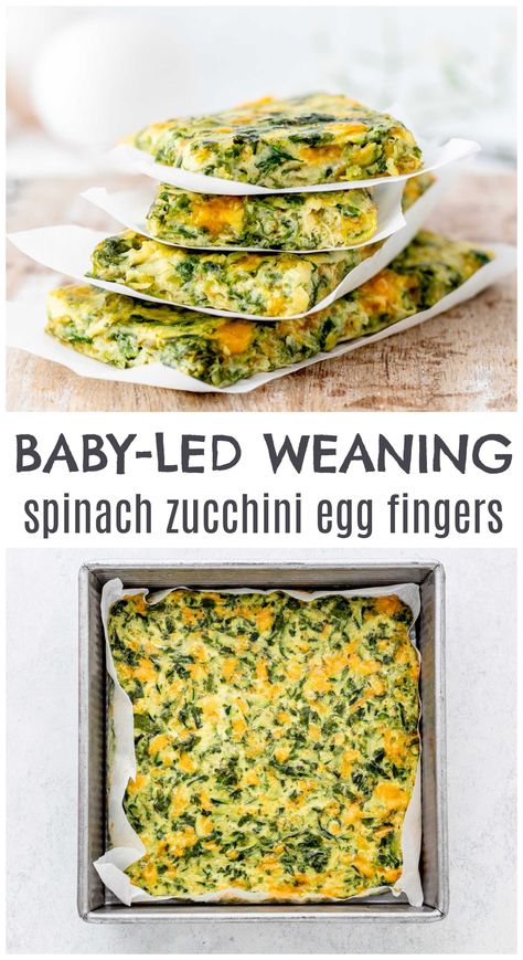 If you're struggling to find a good baby-led weaning meal idea, then I suggest to look no further than these delicious spinach zucchini egg fingers. Made with just simple ingredients, you can make these easily and also prep them ahead. These are also great for toddlers and even for adult snacking! Try the recipe here (these are freezer-friendly too). Click to continue. Blw Weaning Recipes, Blw Meal Prep Freezer, Healthy Blw Meals, Baby Food Recipes Stage 2 And 3, Simple Blw Meals, Blw Prep, Blw Food Prep, Baby Friendly Dinner Ideas, Freezer Friendly Blw Recipes