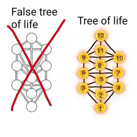 #hermeticism #hermetics #hermeticscience #treeoflife #occult #occultism #magic #magick #occultknowledge #hiddenknowledge #esoteric #esotericknowledge #symbol #occultscience #hermeticism #hermetic #hermestrismegistus #thoth Energy Experiments, Magic Energy, Mystery School, Energy Blocks, Signs From The Universe, Life Path Number, Cosmic Energy, Black Tree, Ancient Knowledge