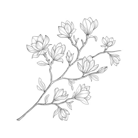 Line Drawn Flowers, Leaves Drawing, Magnolia Tattoo, Flower Tattoo Drawings, Floral Wreath Watercolor, Flower Outline, Magnolia Flowers, Cute Little Tattoos, Leaf Drawing