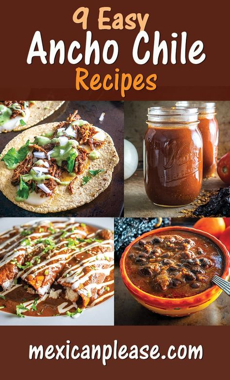 What Else Can I Make With Ancho Chiles? | Mexican Please Ancho Chile Recipes, Chili Pepper Recipes, Dried Chili Peppers, Mexican Sauce, Chile Recipes, Ancho Chili, Dried Peppers, Mexican Cooking, English Food