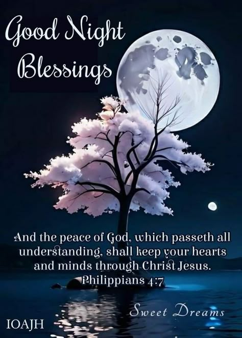 Evening Blessings Quotes, Evening Blessings, Good Night Prayer Quotes, Blessings Quotes, God Grace, Blessed Night, Night Pics, Quotes Faith, Night Blessings