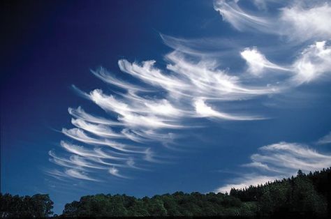 cirrus clouds Cloud Types, Types Of Clouds, Cirrus Cloud, Cloud Type, Cloud Formations, Glen Coe, Cloud Atlas, Jet Stream, Ice Crystals