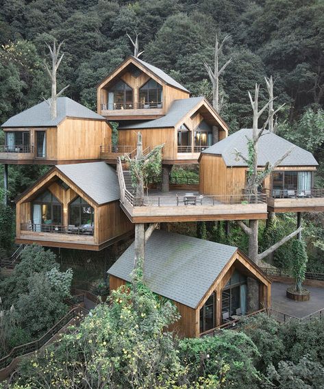 Hangzhou, Casa Cook Hotel, Tree House Resort, Casa Cook, Treehouse Cabins, Resort Design, Architect House, Architect Design, Architecture Model