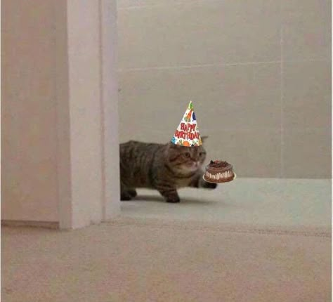 Silly Happy Birthday, Cat Birthday Funny, Bd Design, Happy Birthday Icons, Happy Birthday Illustration, Happy Birthday Cat, Birthday Icon, Great Memes, Happy Birthday Meme