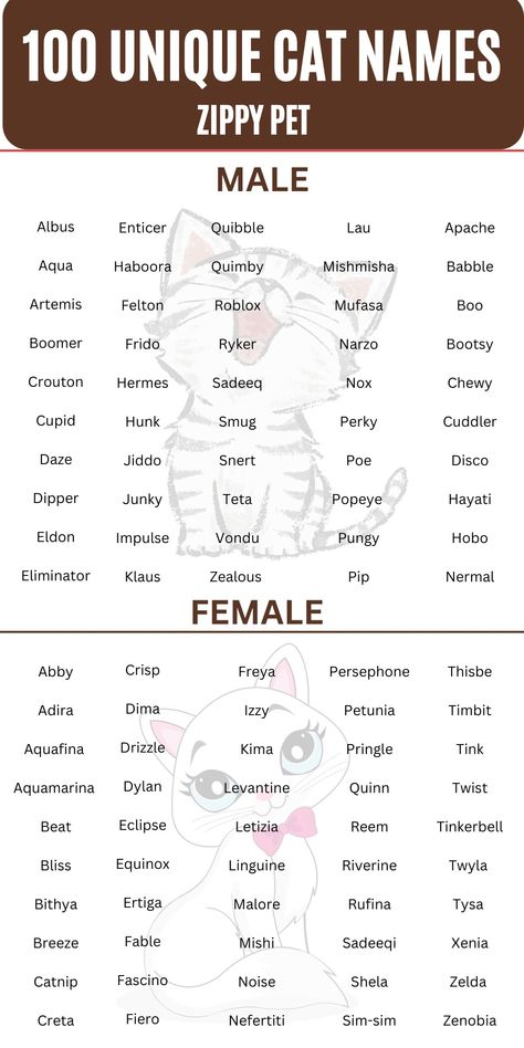 Name Idea For Cat, Cat Ideas Name, Pets Names Unique, Cat Names For Grey Cats, Cute Cat Names Female Unique, Name For Kittens, Male Cats Name, Cute Cat Names Aesthetic, Unique Cat Names Aesthetic