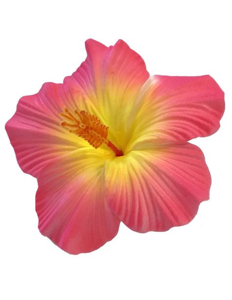 Large Hibiscus Flower Hair Clip Pink Yellow Hubiskis Flower, Tropical Flower Art, Green And Pink Pfp, Hot Pink Pfp, Beautiful Tree Drawing, Pink Yellow Aesthetic, Hawaiin Flowers, Preppy Flowers, Flower White Background