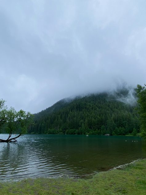 Nature, Fork Washington, Pnw Core, Washington Forks, Washington State Aesthetic, Washington Twilight, Forks Washington Twilight, Northwest Aesthetic, Washington State Forest