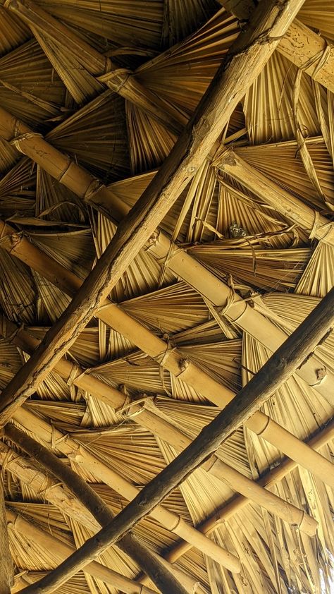 Texture/background Organic Modernism, Shell House, Sustainable Building, Nature Tour, Diy Ceiling, Bamboo Crafts, Roof Styles, Outdoor Restaurant, Coconut Tree