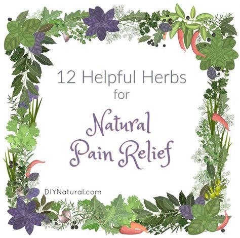 Natural Pain Relief Nerve Pain Remedies, Headache Relief Instant, Home Medicine, Medicine Chest, Natural Beauty Remedies, Natural Headache Remedies, Healing Plants, Migraine Relief, Headache Relief