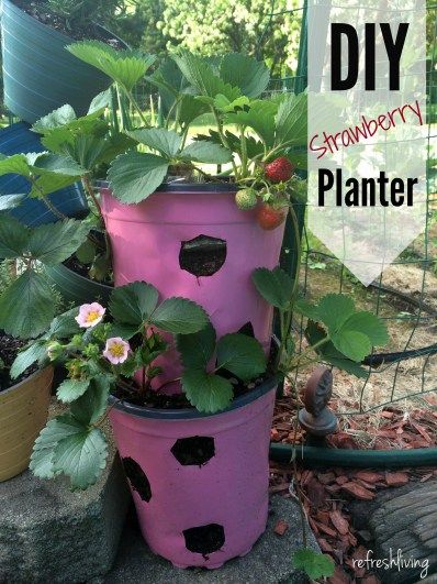 DIY Strawberry Planter from Recycled Materials | Pinterest Challenge - Refresh Living Diy Strawberry Planter, Strawberry Planters Diy, Reuse Plastic Containers, Strawberry Planter, Strawberry Pots, Strawberry Planters, Bucket Gardening, Pinterest Challenge, Strawberry Garden