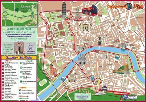 Printable Tourist Map of pisa | Walk Maps Florence Italy Related Keywords & Suggestions - Walk Maps ... Florence Tourist Map, Italy Tourist Attractions, Bellagio Italy, Transformation Workout, Walking Map, Gallery Museum, Pisa Italy, Sightseeing Bus, Italian Riviera