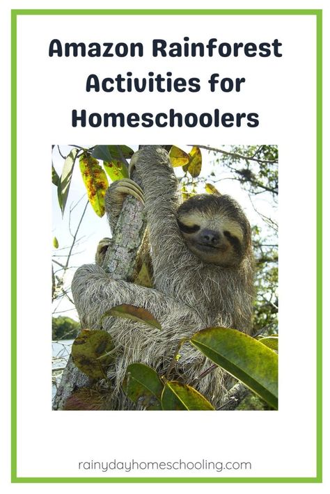 Fantastic fun and educational activities and crafts for homeschoolers to learn about the amazing ecosystem that is the Amazon Rainforest Rainforest Crafts, Biomes Project, Rainforest Project, Rainforest Activities, Rainforest Biome, What To Study, Geography Activities, Fun Card Games, The Amazon Rainforest