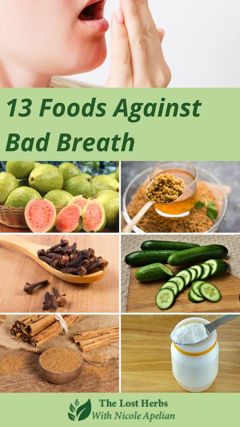 Bad breath can stem from many causes and is often easily remedied through lifestyle changes. Poor dental hygiene, smoking and eating certain foods are said to be the culprit in developing bad breath. But, did you know that bad breath can also be an indicator of a health condition or impaired metabolism? Many aromatic spices have strong antimicrobial properties that ward off bacteria buildup in the mouth. They also facilitate better digestion and salivary production to prevent bad breath. Medicinal Recipes, Prevent Bad Breath, Probiotic Yogurt, Better Digestion, Homestead Ideas, Canker Sore, Dental Hygiene, Health Conditions, Foods To Eat