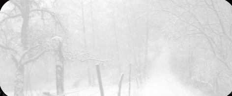 white snow discord banner Anime Snow Gif Banner, Snowy Banner Gif, Gif White Banner, Winter Banner Aesthetic, Winter Aesthetic Banner, Winter Gif Aesthetic, Snow Banner Aesthetic, Snow Gif Banner, White Aesthetic Banner Gif