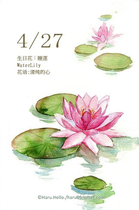 Lotus Lily Pad Tattoo, Lotus Flower Painting Watercolors, Lilypad Tattoo, Drawing Lotus Flower, Blossom Doodle, Lily Pad Tattoo, Lotus Flower Illustration, Water Lily Drawing, Flower Art Watercolor