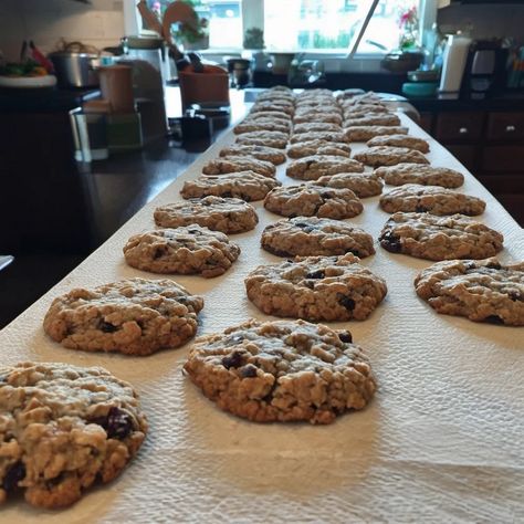 Baked Oatmeal Raisin Cookies Best Soft And Chewy Oatmeal Raisin Cookies, Oatmeal Raisin Cookies With Applesauce, Jumbo Oatmeal Raisin Cookies, Chewy Oatmeal Raisin Cookies Soft And, Best Oatmeal Raisin Cookies Soft, Jumbo Raisin Cookies, Thick And Chewy Oatmeal Raisin Cookies, Large Oatmeal Raisin Cookies, Thick Oatmeal Raisin Cookies