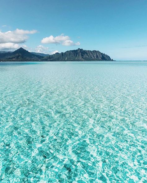 Hawaii’s Instagram photo: “🌈 Kaneohe sandbar blues! 🥰😍🌴🍍💚💙💦☀️ ➖➖➖➖➖➖➖➖➖➖➖➖➖ ➢ Follow » @Visit.Hawaii ➖➖➖➖➖➖➖➖➖➖➖�➖➖ ➢ Follow » @HawaiiTag ➖➖➖➖➖➖➖➖➖➖➖➖➖ ➢ Photo »…” Boat Wedding, Hawaii Luau, Ocean Vibes, Maui Weddings, Hawaiian Luau, Destination Voyage, Wedding Ceremonies, Oahu Hawaii, Hawaii Travel