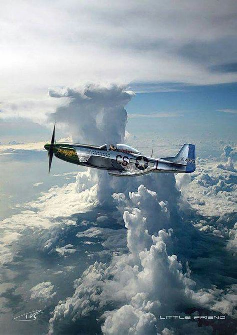 Skies-of-Glory on Twitter: "P-51… " P52 Mustang, Photo Avion, Airplane Painting, Wwii Fighter Planes, P 51 Mustang, Wwii Airplane, Wwii Fighters, Air Planes, Aircraft Painting