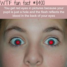 Weird Thoughts Mind Blown, Not So Fun Facts, Weird Fun Facts, Terrifying Facts, Weird Thoughts, Funny Facts Mind Blowing, Science Facts Mind Blown, 365 Jar, Fun Facts Mind Blown