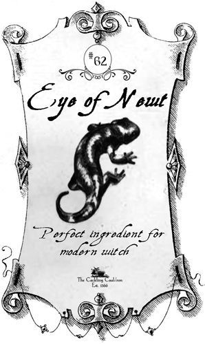 The eye of a newt is one of the ingredients that the witches put in their potions. 4.1.14 Spooky Printables, Witchy Ideas, Crafts Pictures, Diy Apothecary, Potion Kit, Eye Of Newt, Halloween Apothecary Labels, Halloween Bottle Labels, Printable Halloween Tags