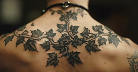 What is the significance of an ivy tattoo? 22 Tree Cuff Tattoo, Vine Shoulder Tattoo Men, Black Ivy Tattoo, Ivy Tattoo Shoulder, Ivy Branch Tattoo, Ivy Back Tattoo, Ivy Tatoos, Ivy Sleeve Tattoo, Tattoos Of Trees