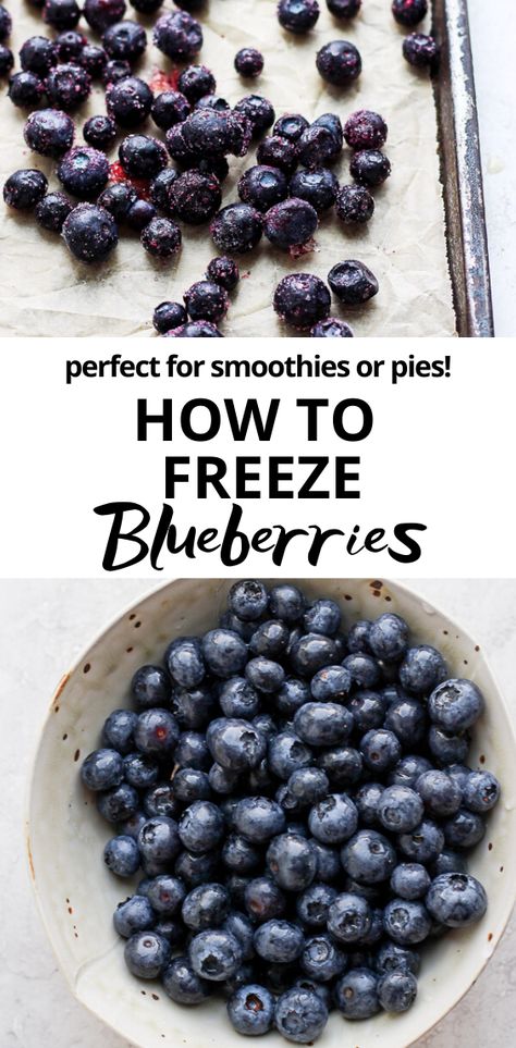 How to Freeze Blueberries - save this one for future reference! Save money by buying or picking blueberries in season and freezing them! Perfect for smoothies or pie! #howtofreezeblueberries #frozenblueberries #smoothierecipes #freezeblueberries #blueberries #blueberryrecipes Freezing Blueberries, How To Freeze Blueberries, Freeze Blueberries, Picking Blueberries, Wooden Skillet, Freezer Burn, Easy Smoothie Recipes, Blueberry Recipes, Easy Smoothies